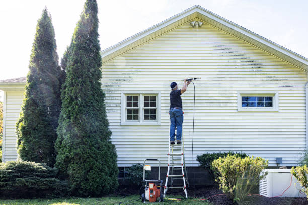 Best Solar Panel Cleaning  in Lakeview, NY